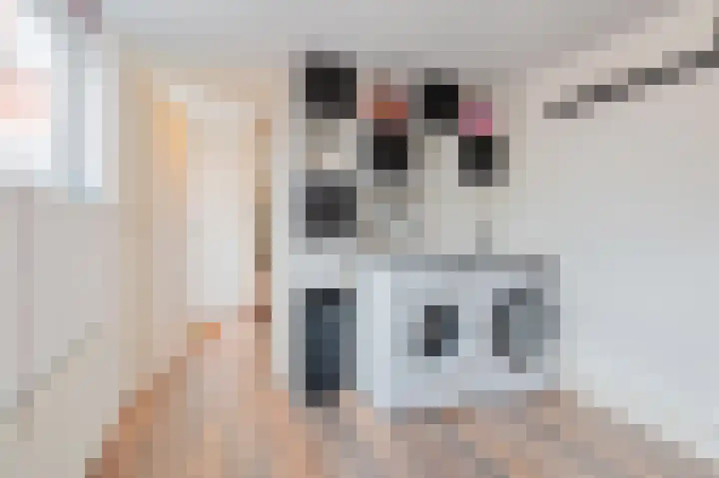 Trompstraat 21 Bedum thumbnail 20