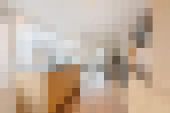 Trompstraat 21 Bedum thumbnail 21