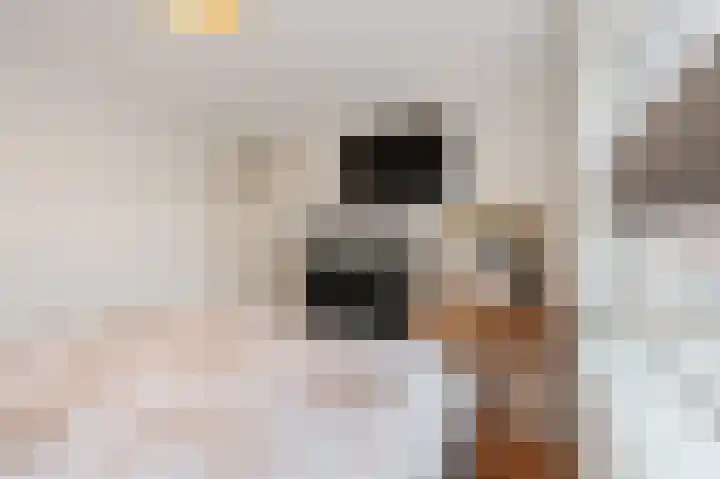 Trompstraat 21 Bedum thumbnail 24