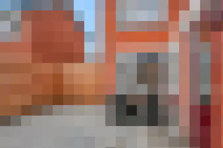 Trompstraat 21 Bedum thumbnail 36