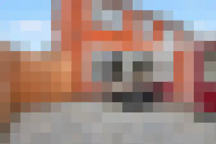 Trompstraat 21 Bedum thumbnail 37