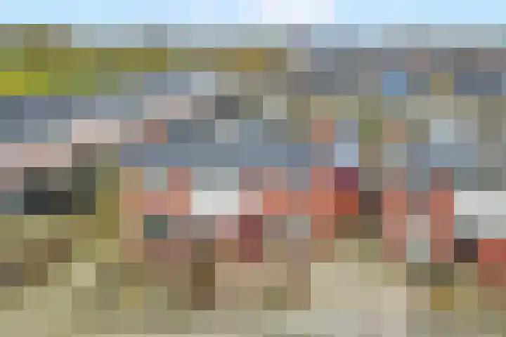 Trompstraat 21 Bedum thumbnail 5