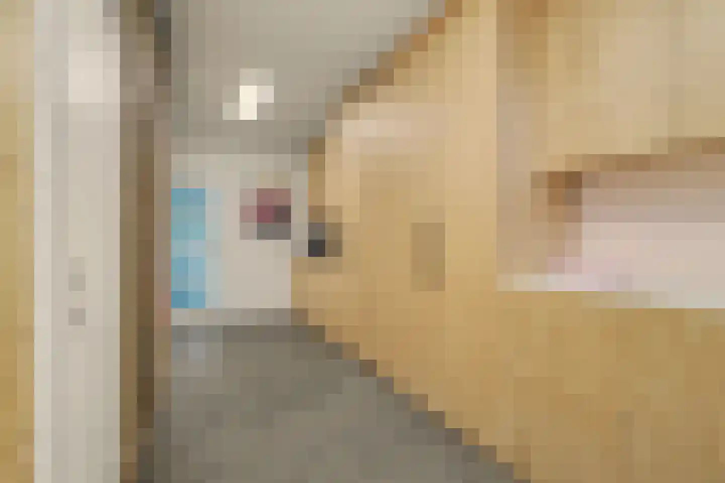 Trompstraat 21 Drunen thumbnail 22