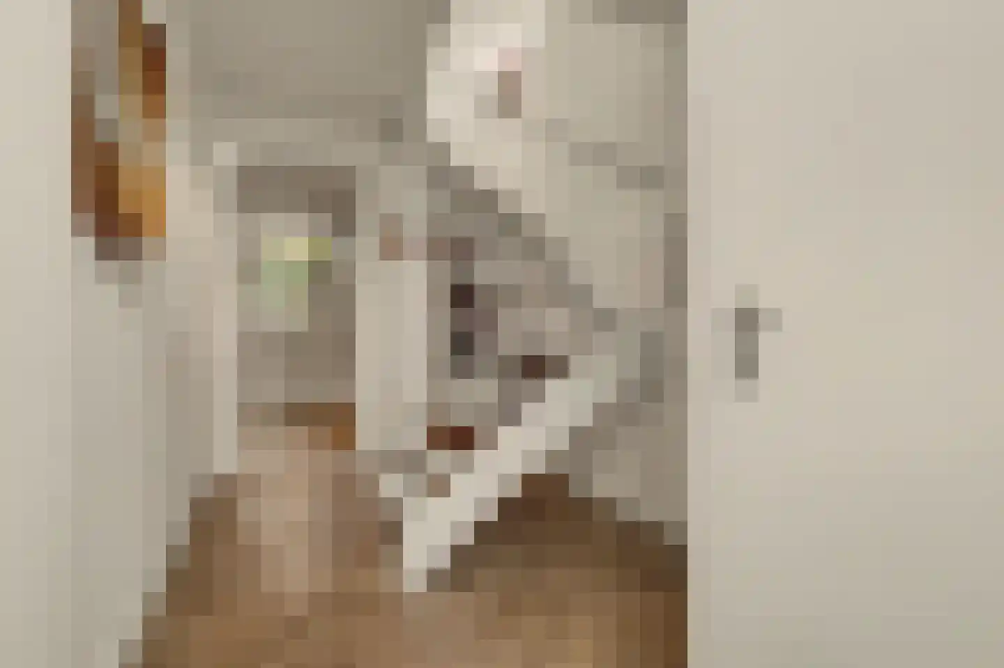 Trompstraat 21 Drunen thumbnail 23