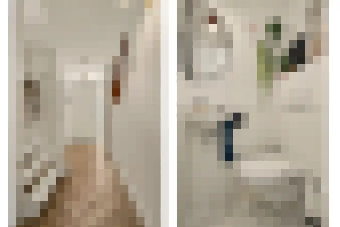 Trompstraat 21 Drunen thumbnail 24