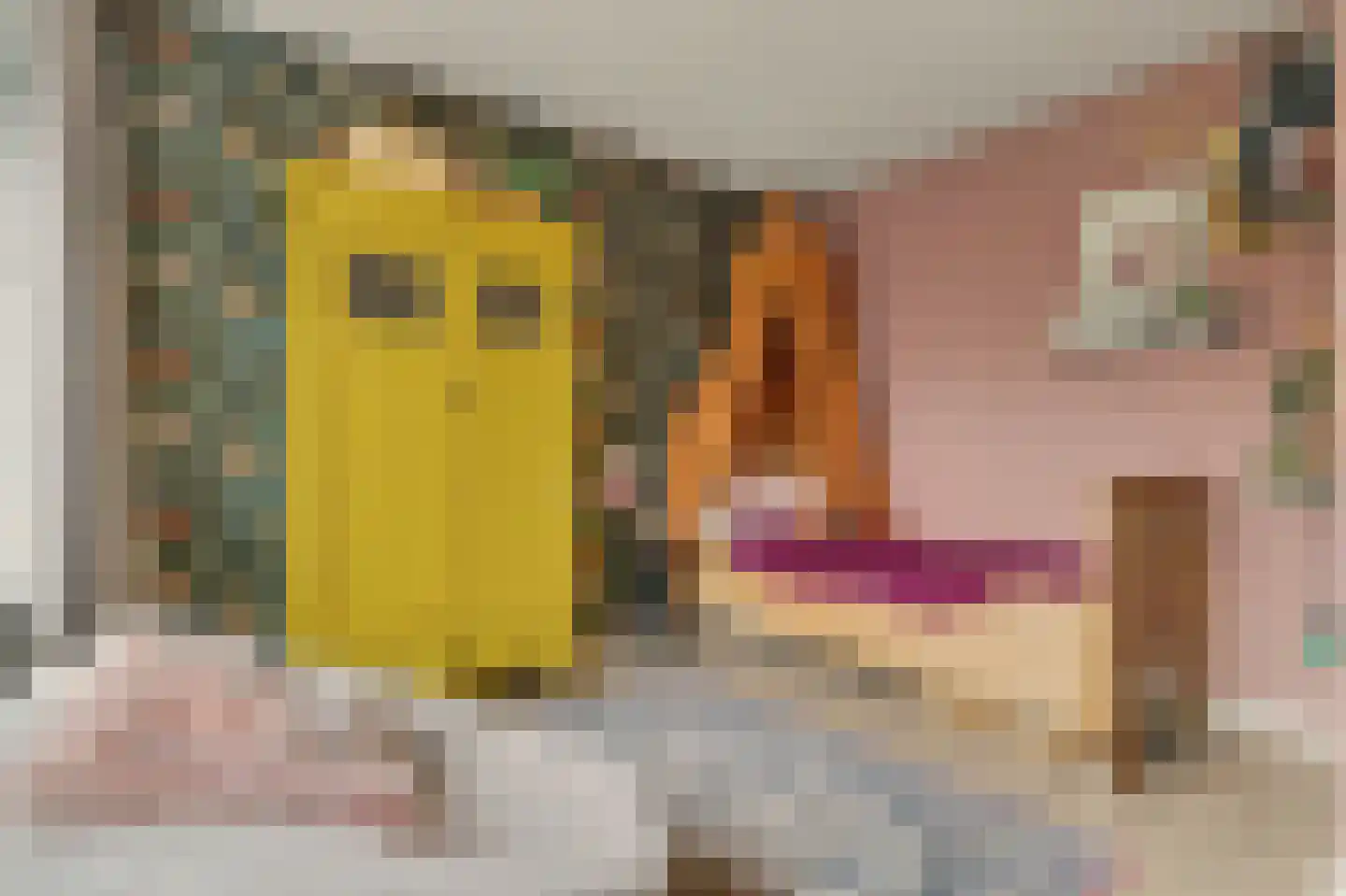 Trompstraat 21 Drunen thumbnail 27