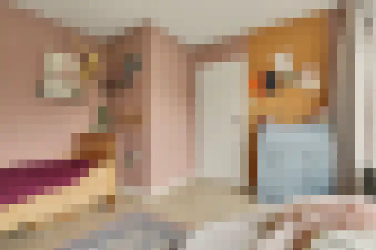 Trompstraat 21 Drunen thumbnail 28
