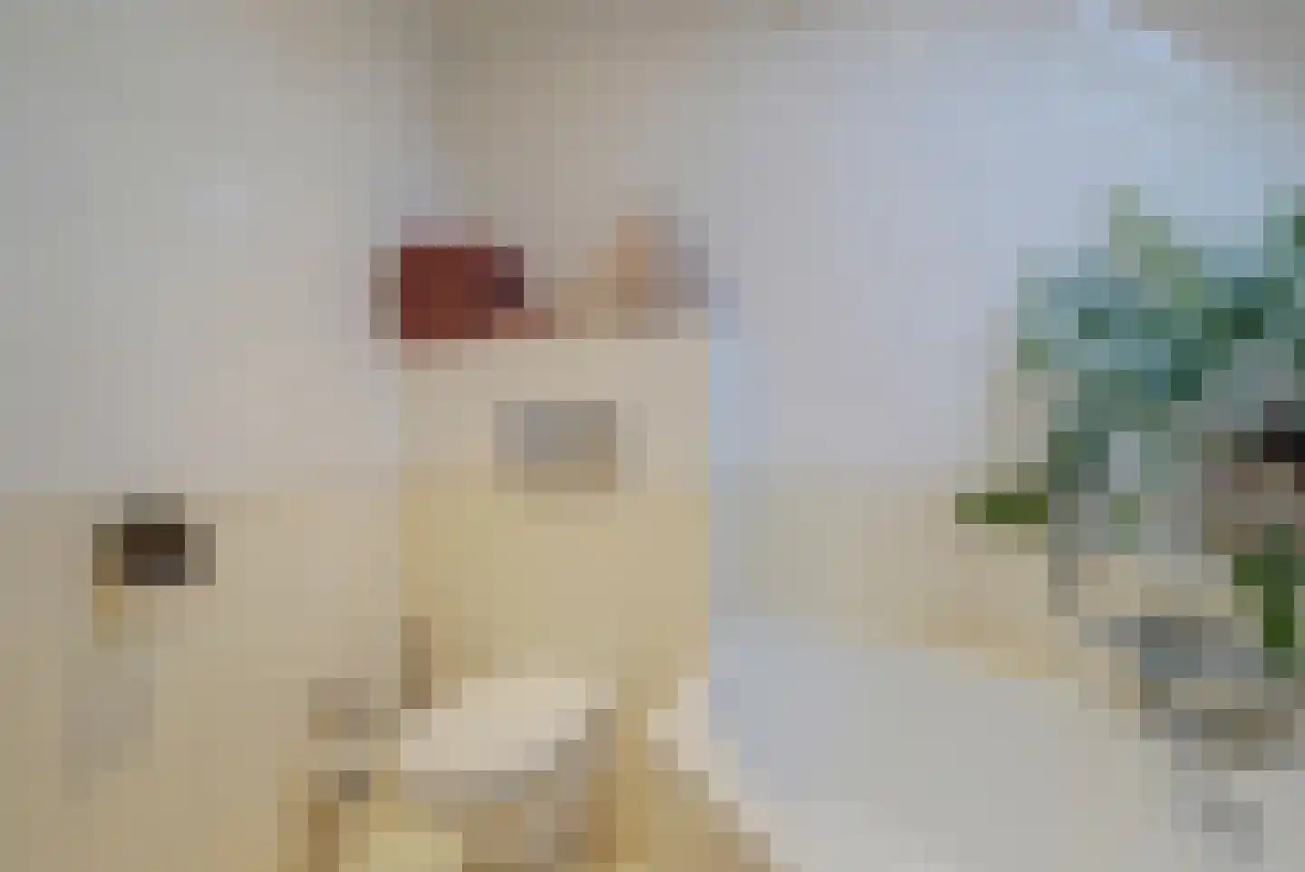 Trompstraat 21 Drunen thumbnail 31