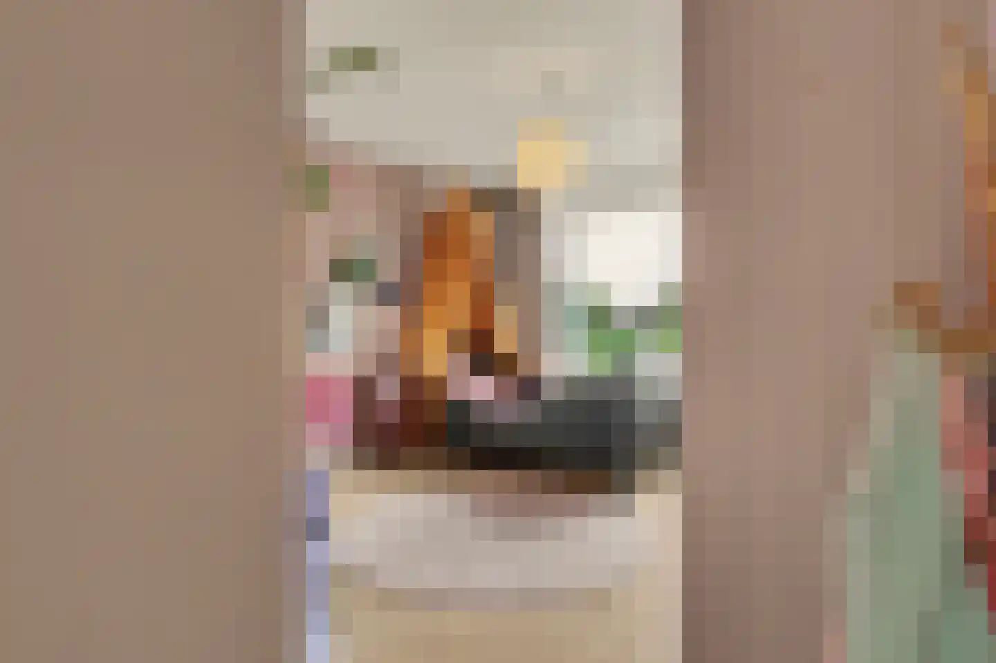 Trompstraat 21 Drunen thumbnail 32