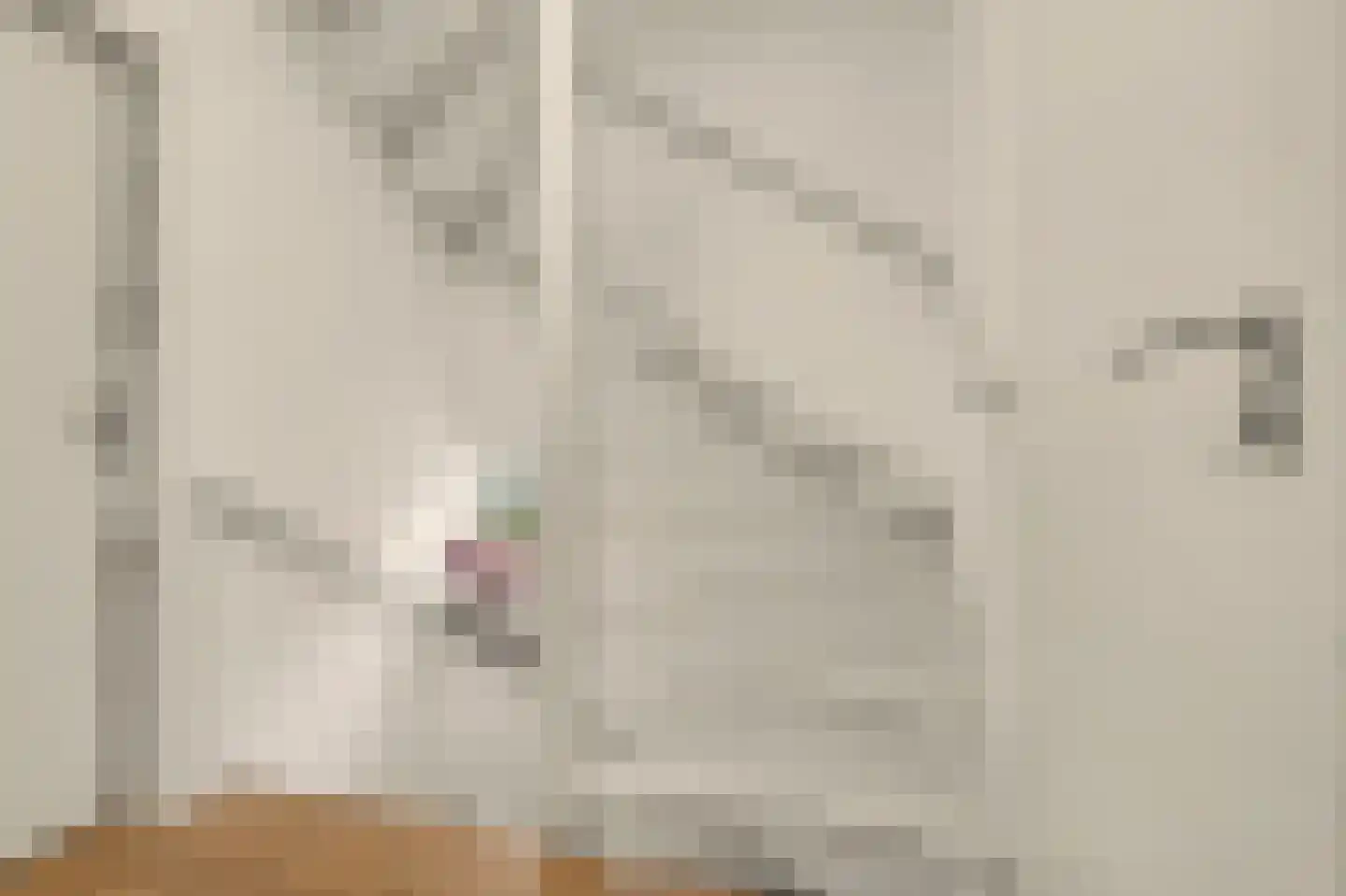 Trompstraat 21 Drunen thumbnail 37
