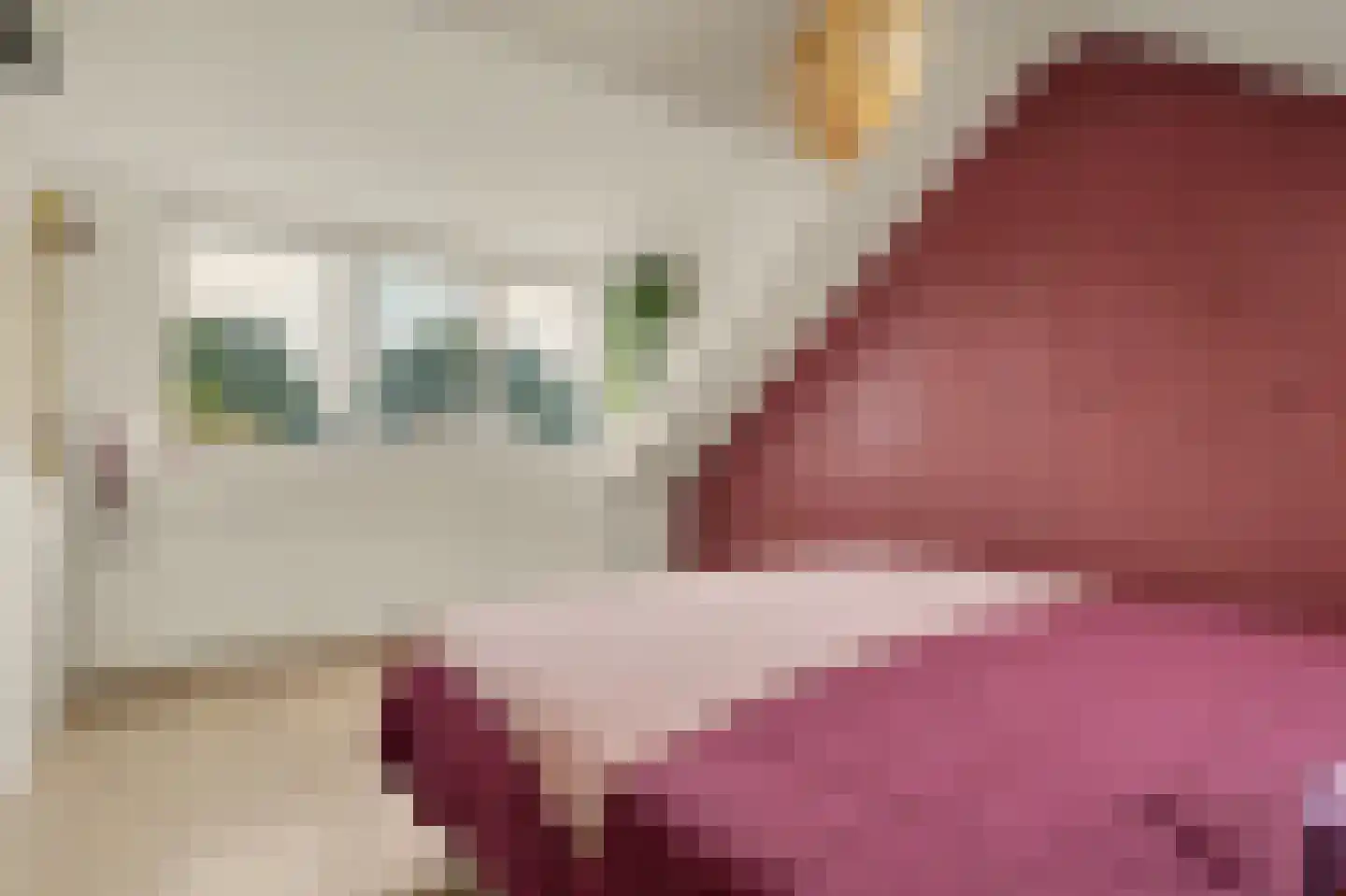 Trompstraat 21 Drunen thumbnail 41