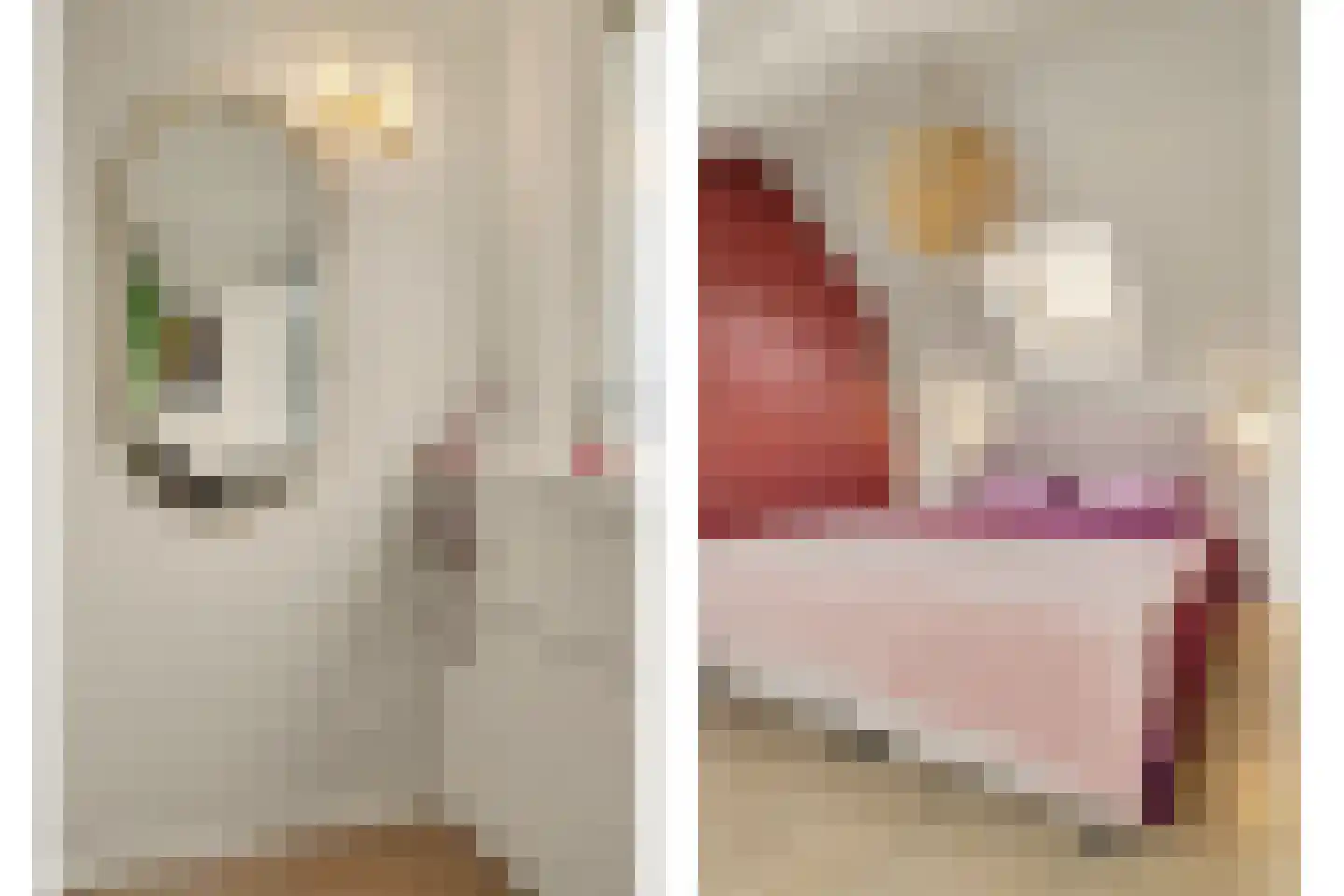 Trompstraat 21 Drunen thumbnail 42
