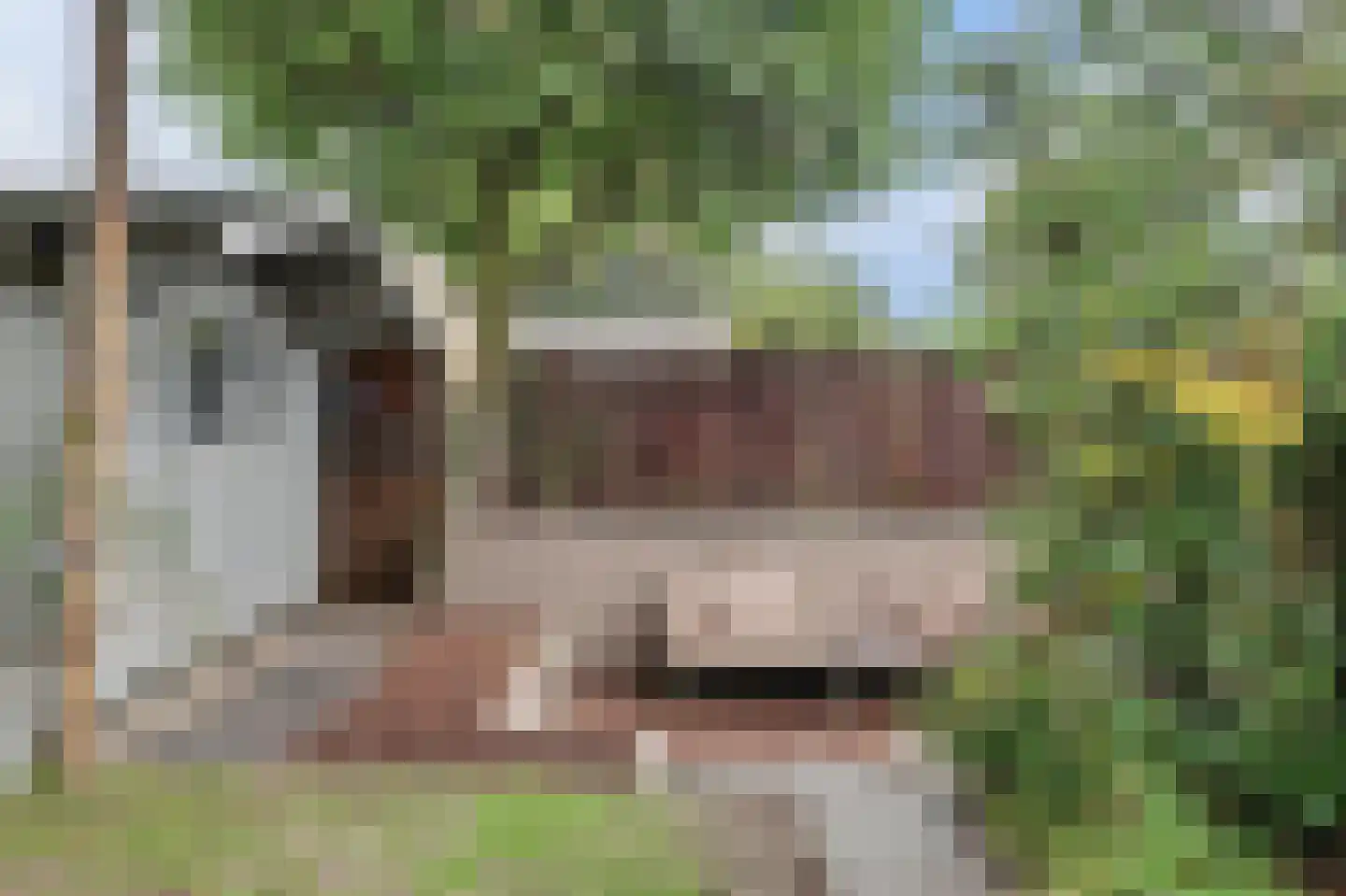 Trompstraat 21 Drunen thumbnail 48