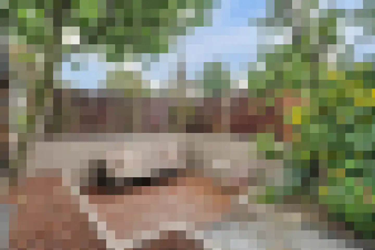 Trompstraat 21 Drunen thumbnail 49