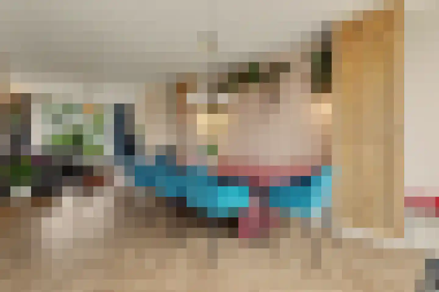 Trompstraat 21 Drunen thumbnail 5