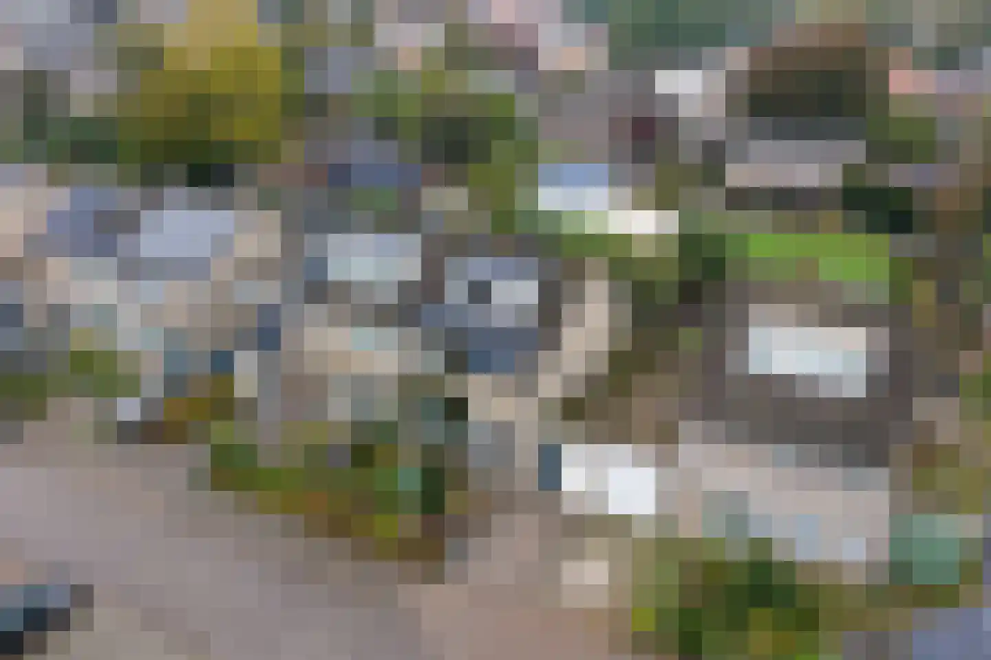 Trompstraat 21 Drunen thumbnail 57