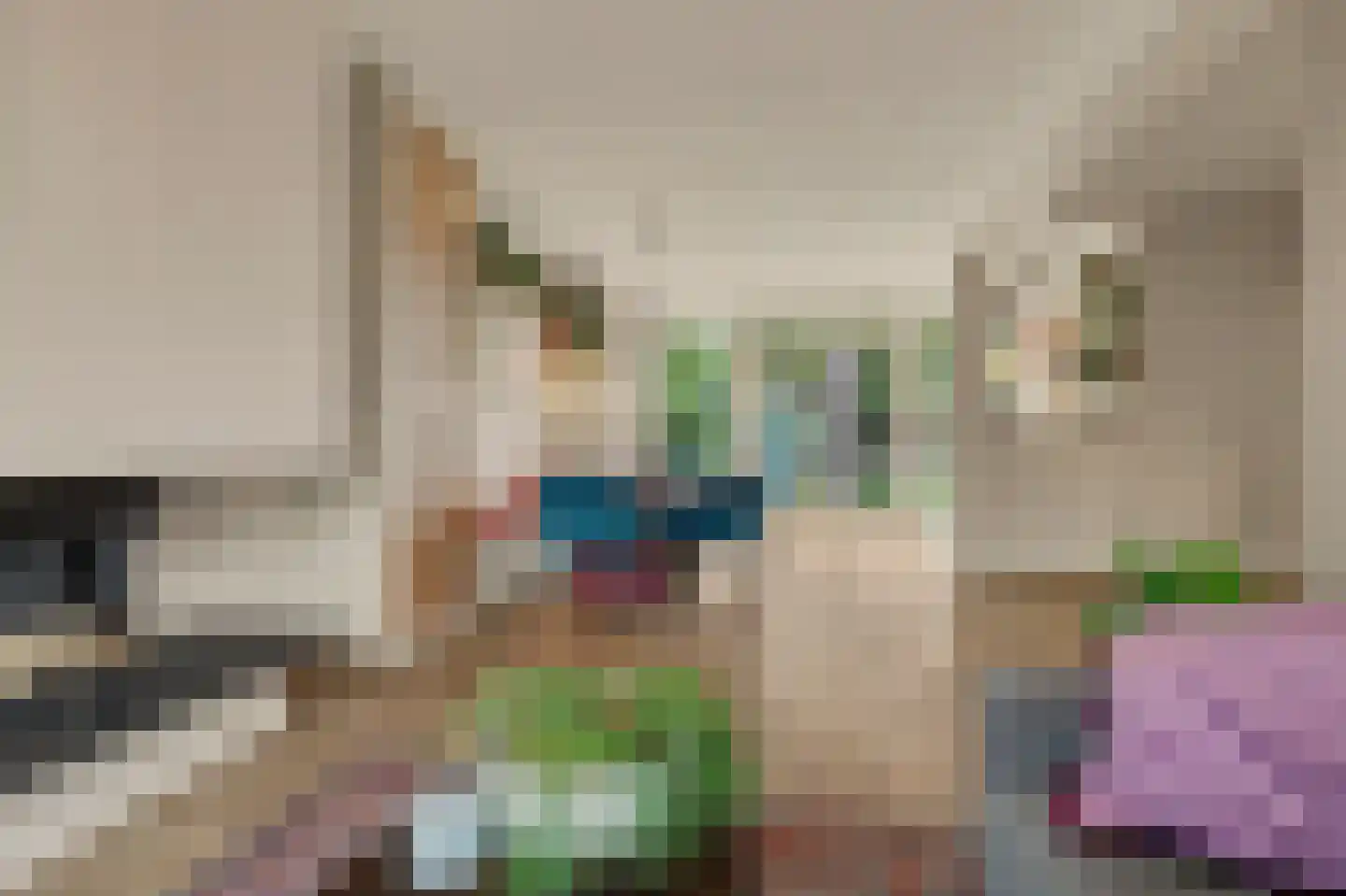Trompstraat 21 Drunen thumbnail 8