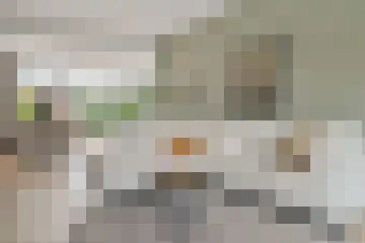 Trompstraat 21 Huizen thumbnail 10