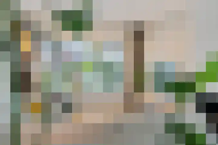 Trompstraat 21 Huizen thumbnail 11