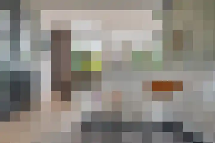 Trompstraat 21 Huizen thumbnail 12