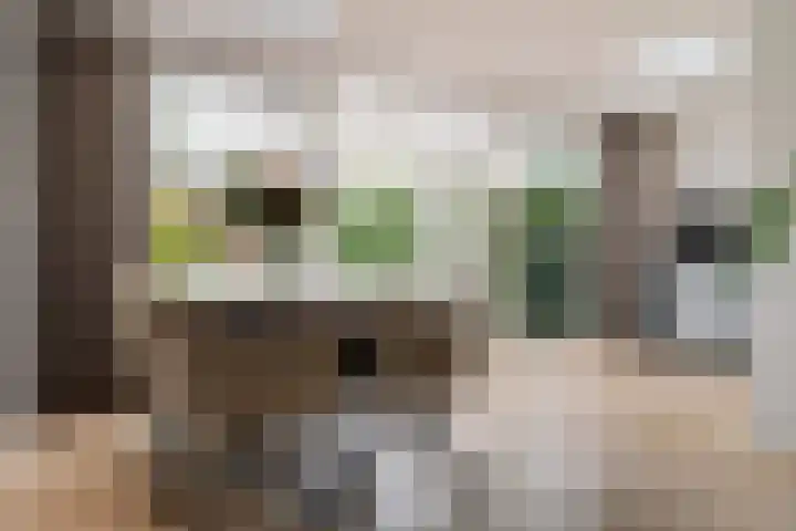 Trompstraat 21 Huizen thumbnail 13
