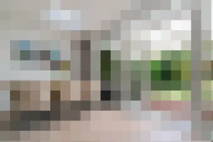 Trompstraat 21 Huizen thumbnail 14