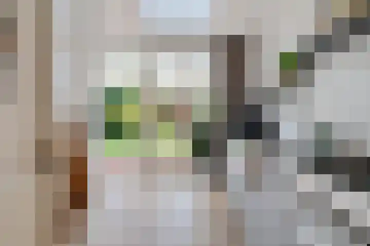 Trompstraat 21 Huizen thumbnail 18