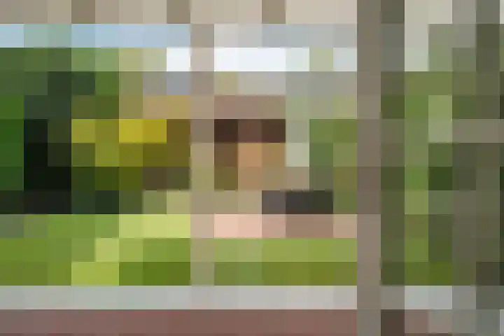 Trompstraat 21 Huizen thumbnail 21
