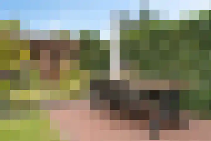 Trompstraat 21 Huizen thumbnail 23