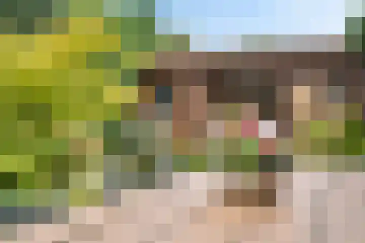 Trompstraat 21 Huizen thumbnail 24