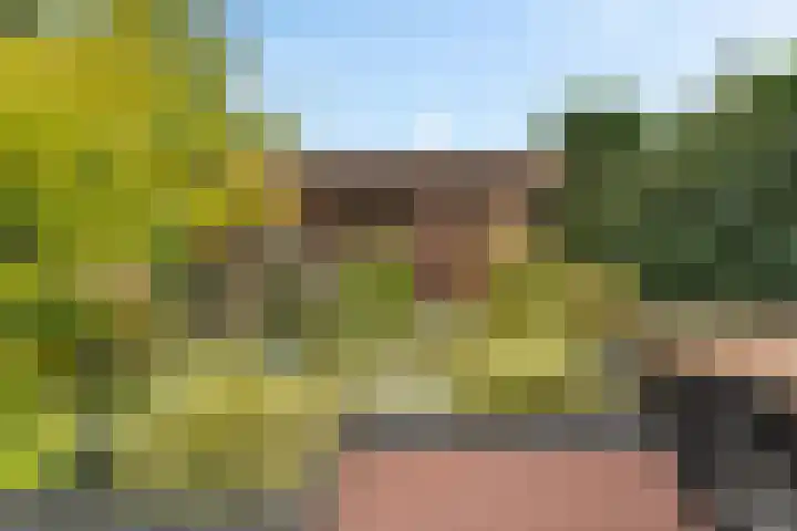 Trompstraat 21 Huizen thumbnail 25