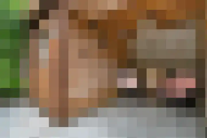 Trompstraat 21 Huizen thumbnail 26