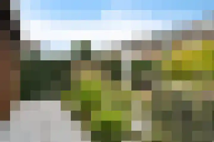 Trompstraat 21 Huizen thumbnail 27