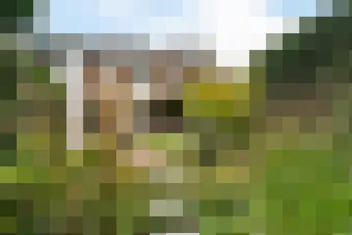 Trompstraat 21 Huizen thumbnail 28