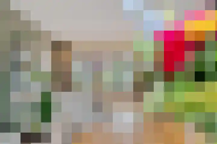 Trompstraat 21 Huizen thumbnail 30