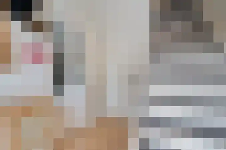 Trompstraat 21 Huizen thumbnail 32