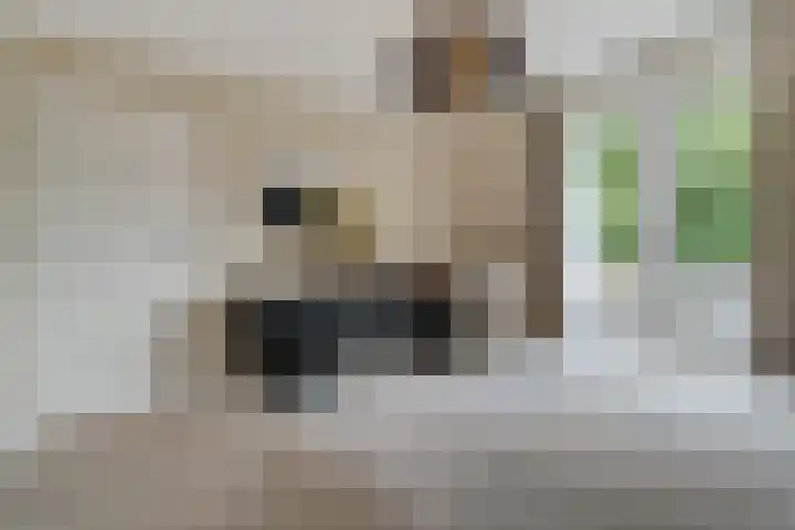 Trompstraat 21 Huizen thumbnail 36