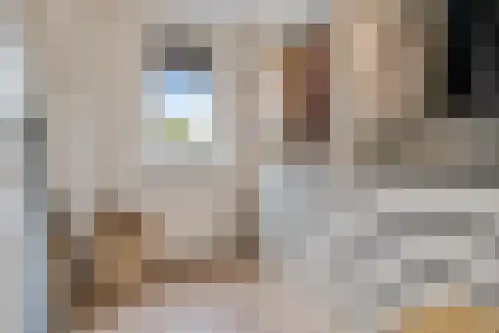 Trompstraat 21 Huizen thumbnail 39