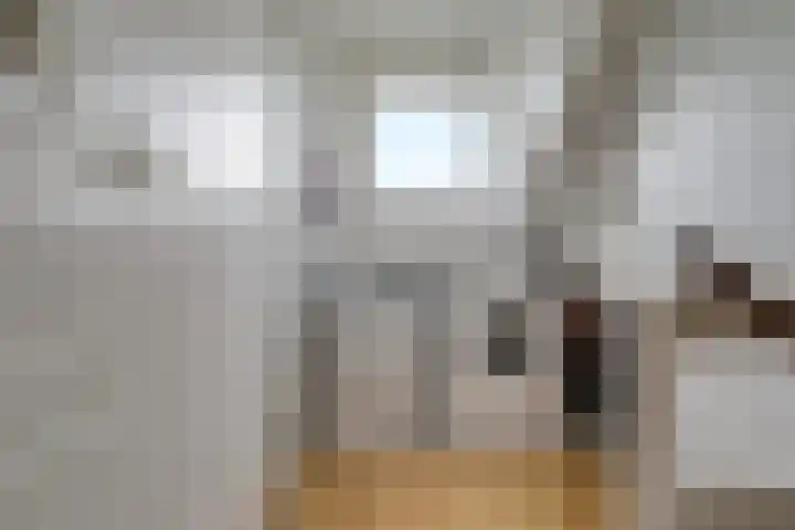 Trompstraat 21 Huizen thumbnail 47