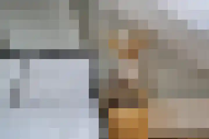 Trompstraat 21 Huizen thumbnail 51