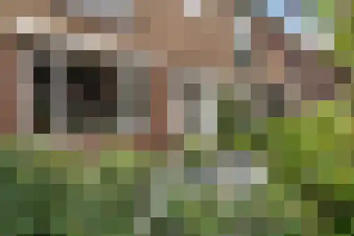 Trompstraat 21 Huizen thumbnail 53