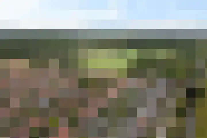 Trompstraat 21 Huizen thumbnail 55