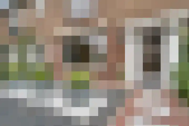 Trompstraat 21 Huizen thumbnail 6
