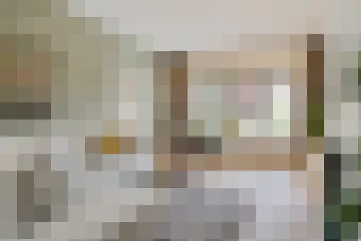 Trompstraat 21 Huizen thumbnail 9