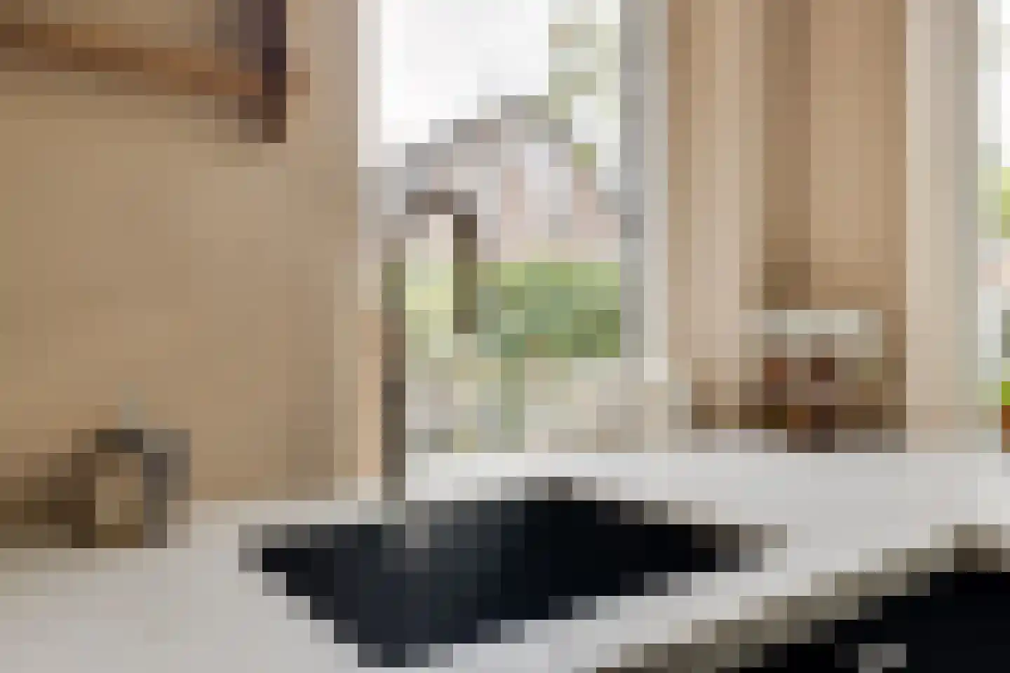 Trompstraat 22 Apeldoorn thumbnail 14