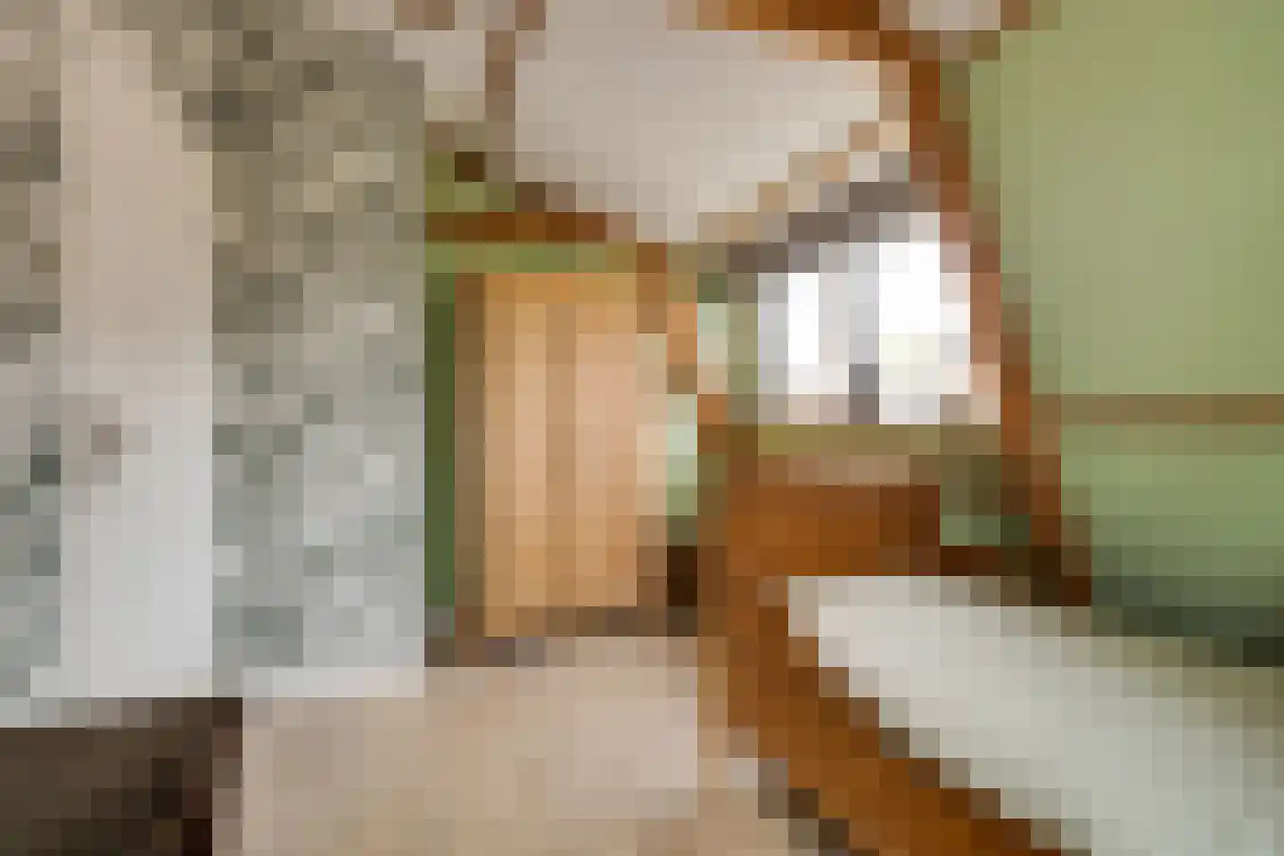 Trompstraat 22 Apeldoorn thumbnail 26
