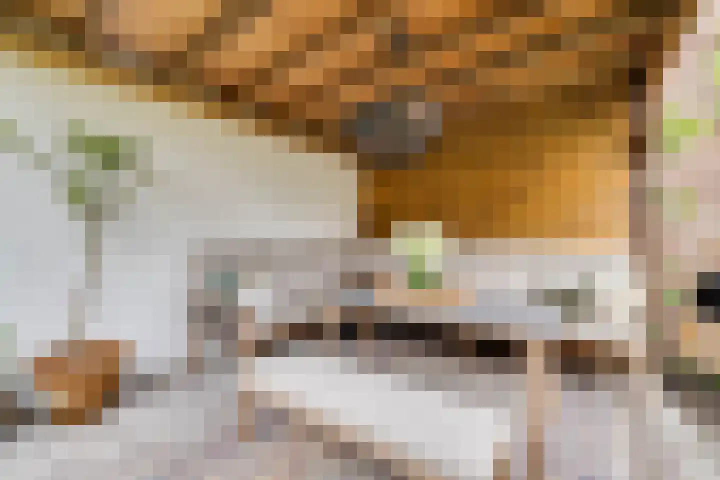 Trompstraat 22 Apeldoorn thumbnail 37