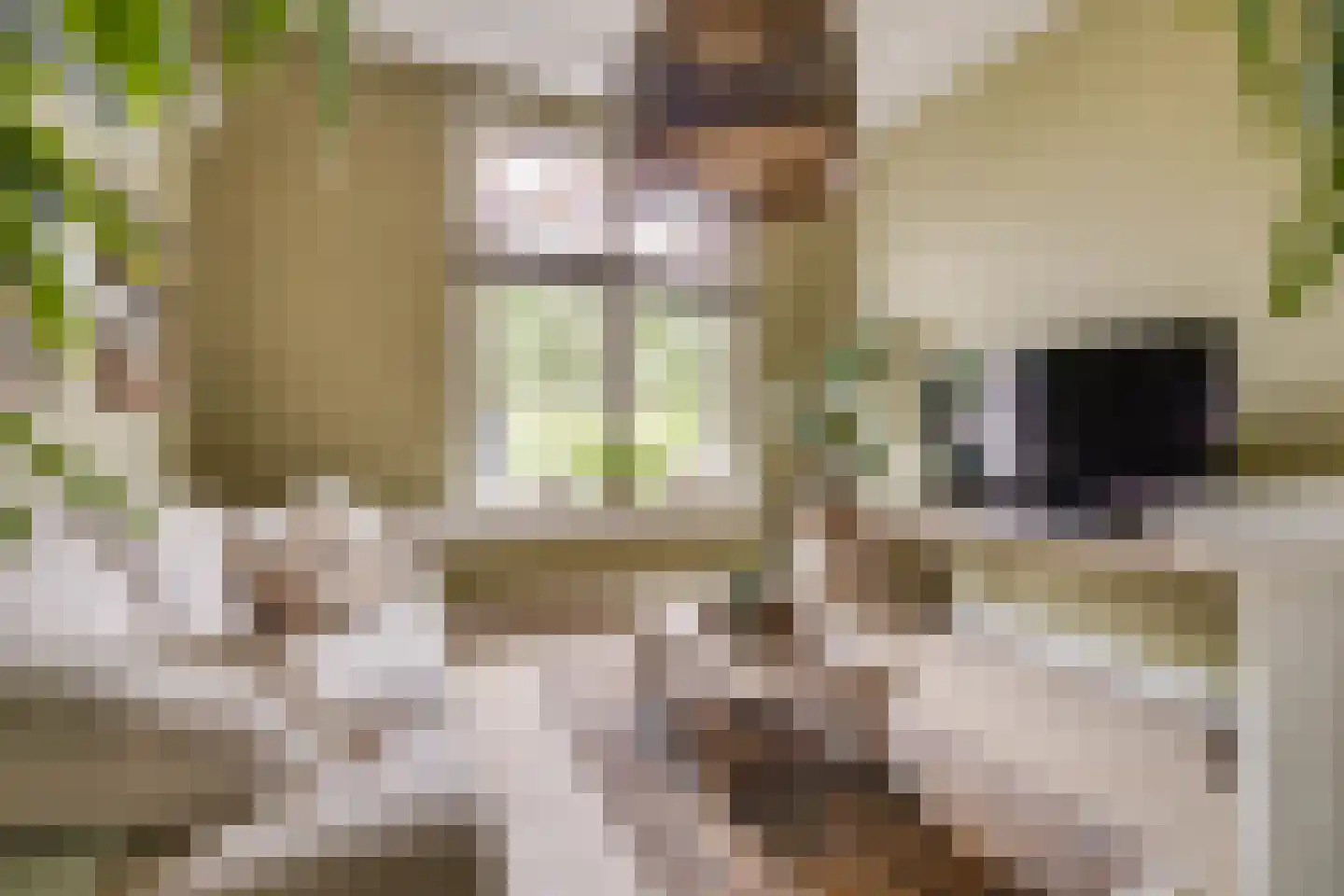 Trompstraat 22 Apeldoorn thumbnail 4