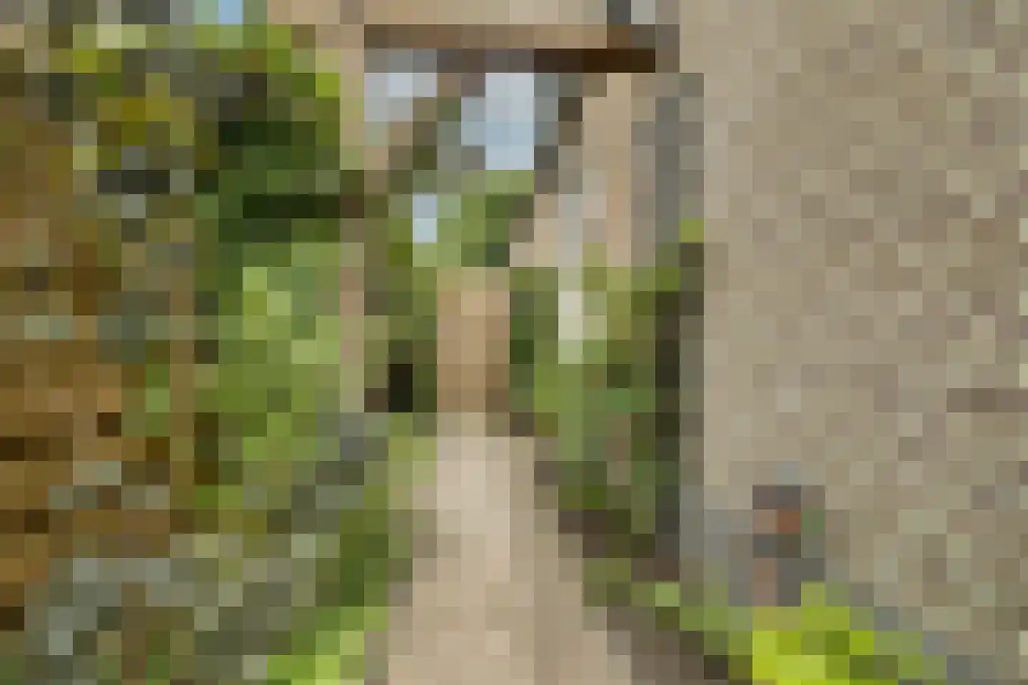 Trompstraat 22 Apeldoorn thumbnail 43