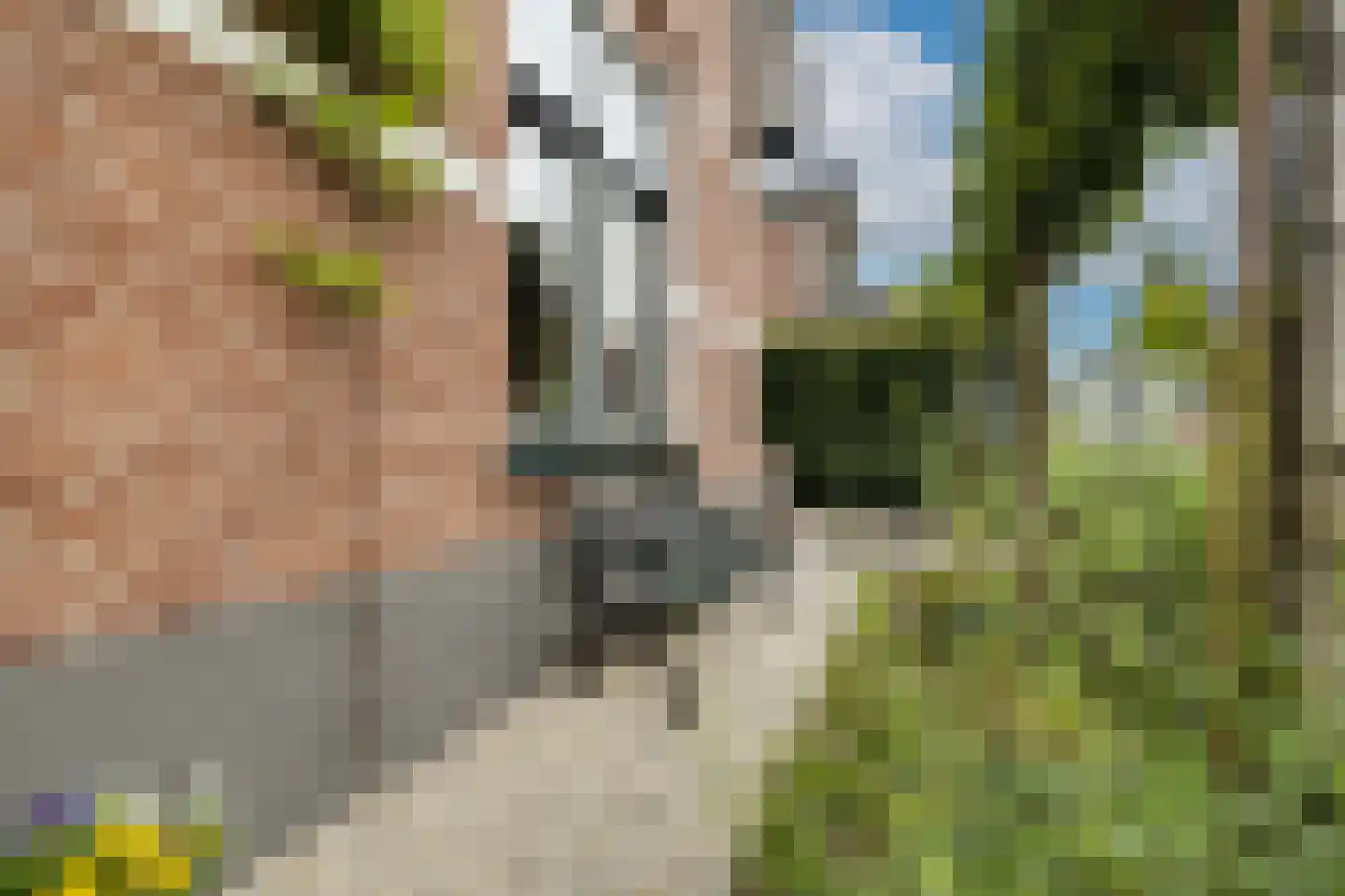 Trompstraat 22 Apeldoorn thumbnail 44